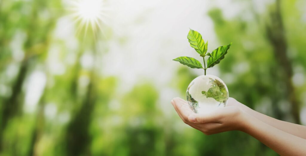 Hand holding a glass globe surrounded by nature
