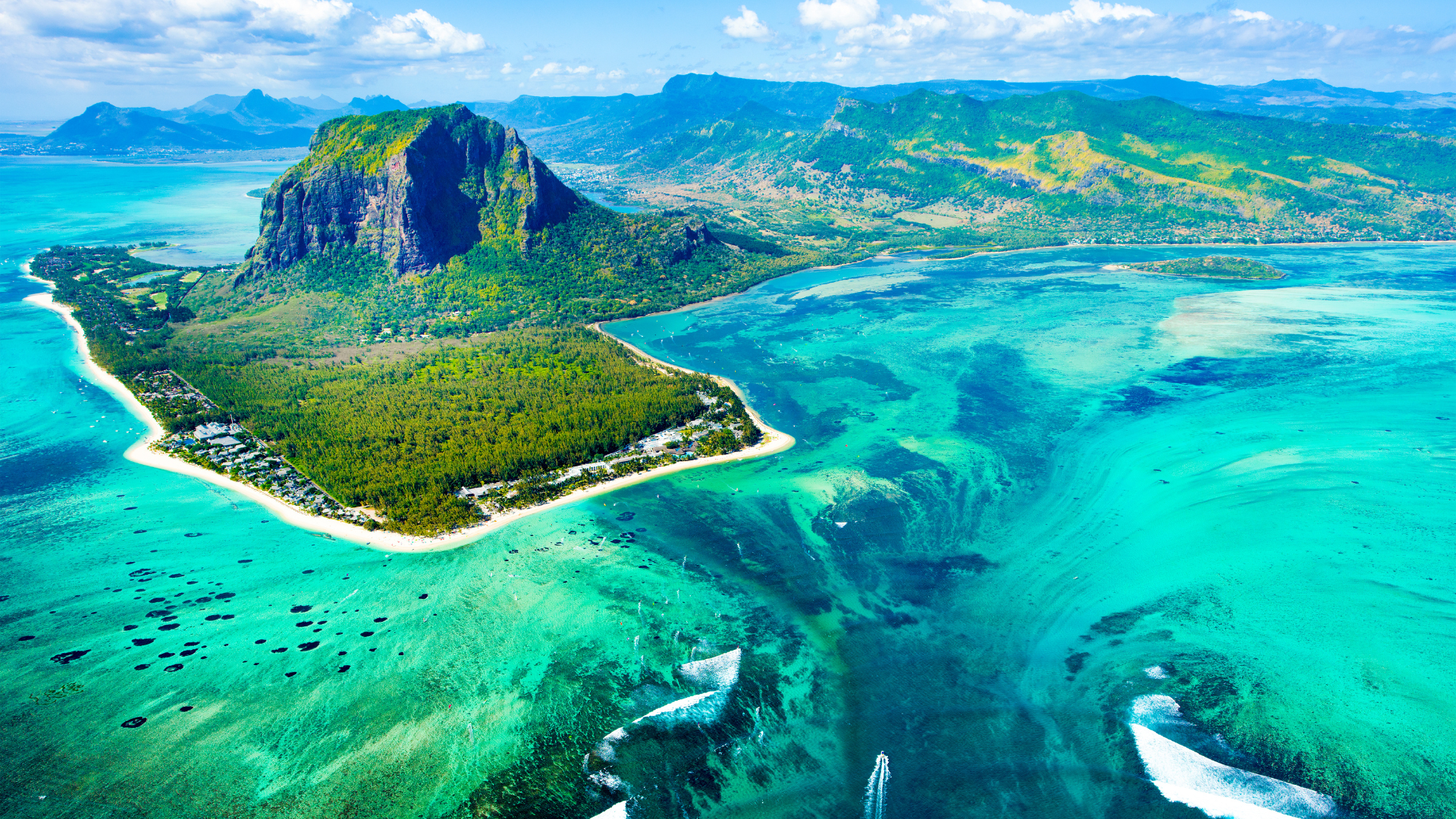 Naturali donates 10% of profits to coral reef and marine conservation in Asia