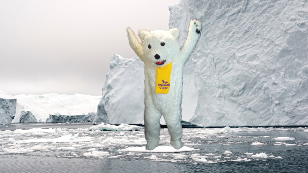 Lala - Naturali's polar bear mascot