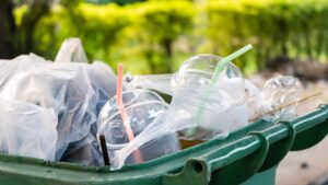 A guide to sustainable living