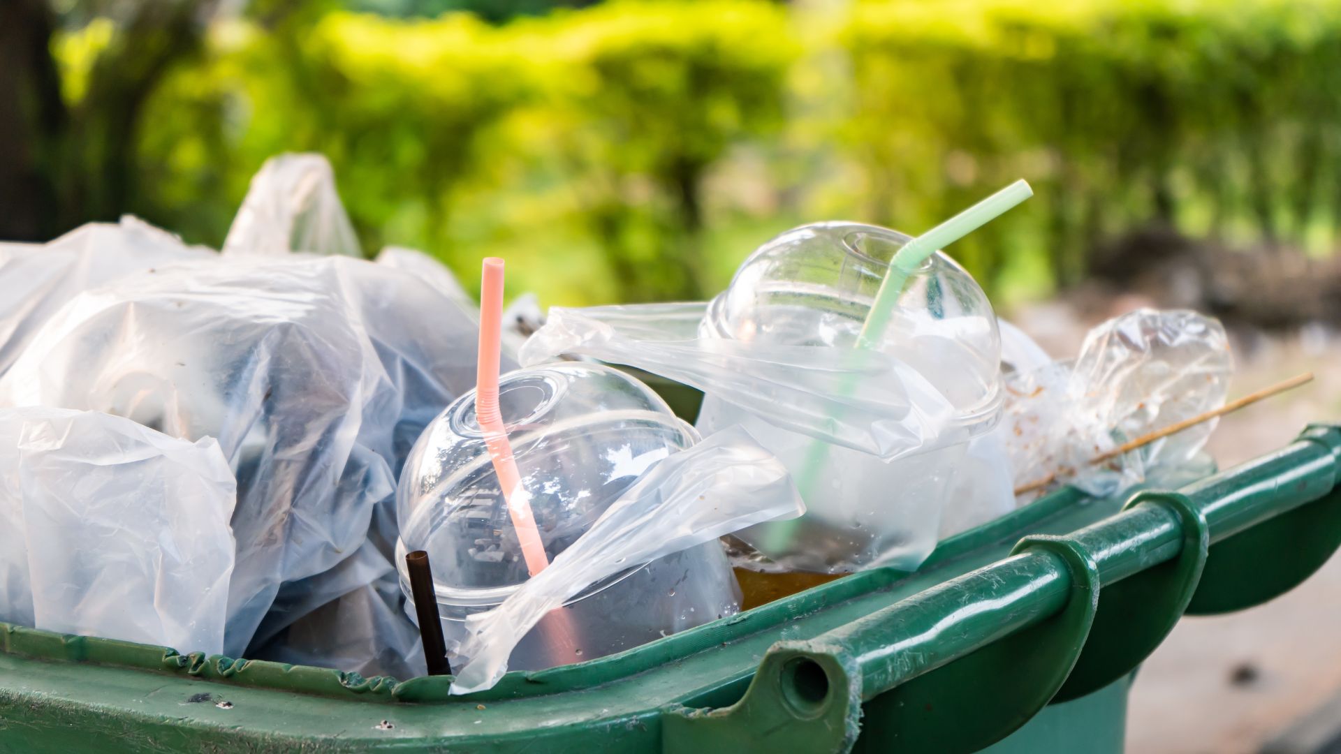 A guide to sustainable living
